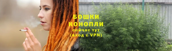 PSILOCYBIN Алзамай