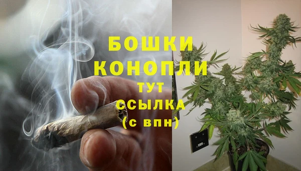 PSILOCYBIN Алексеевка