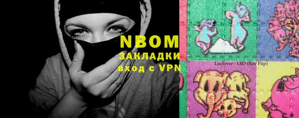PSILOCYBIN Алзамай