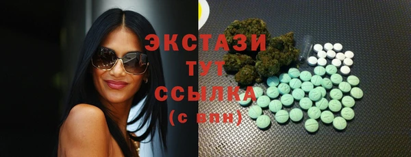 PSILOCYBIN Алзамай