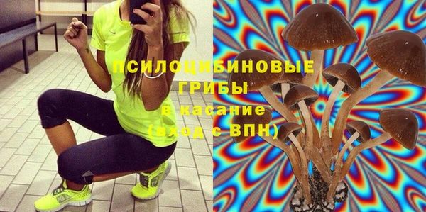 2c-b Алексин